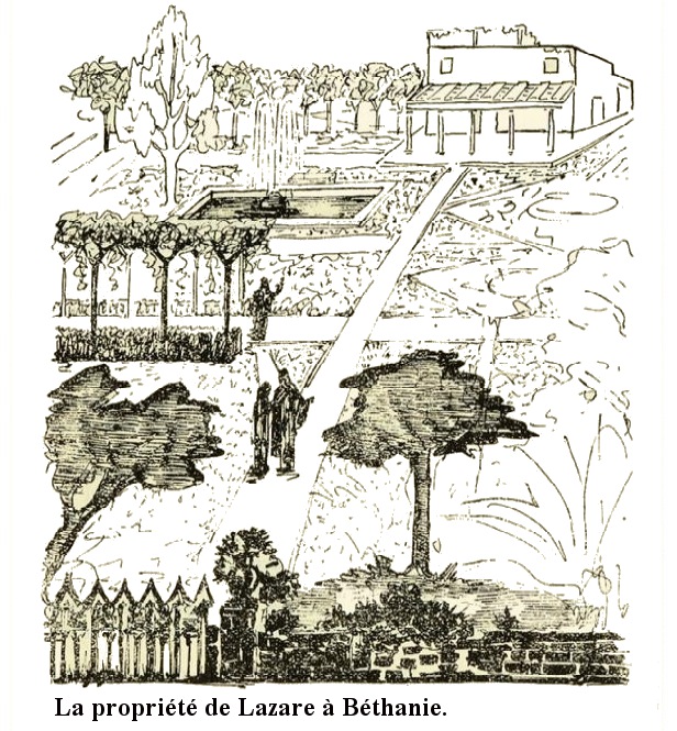 Illustration — 