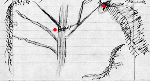 Illustration — 