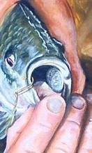Illustration — 