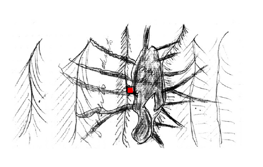 Illustration — 