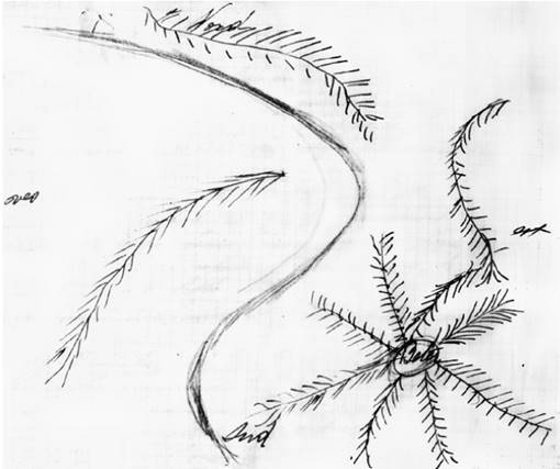 Illustration — 