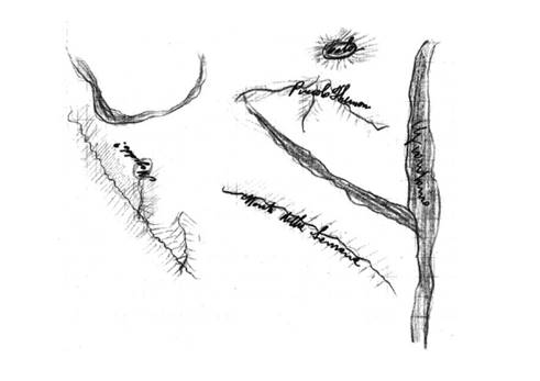 Illustration — 